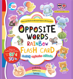 OPPOSITE WORDS RAINBOW FLASH CARD 